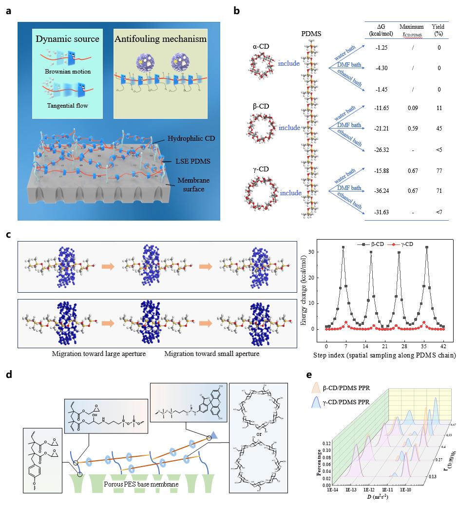 超分子結(jié)構(gòu)與動態(tài)性模擬、表征